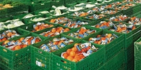 Poland: lower import of vegetables