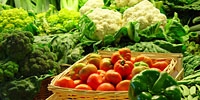 Poland: stagnation in export to Russia