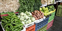 Poland: lower export of vegetables in April 2009