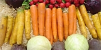 Poland: traders hope for better sales of vegetables before Christmas