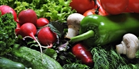 Poland: high supply of vegetables imported from Italy