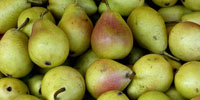 Польша: анализ цен freshmarket.ru (9.08-13.08.2010)