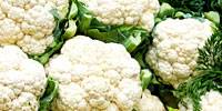 Польша: анализ цен freshmarket.ru (28.06 – 04.07.2010)