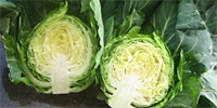 Москва: анализ цен freshmarket.ru (21.06. – 25.06.2010)