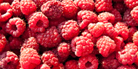 Польша: анализ цен freshmarket.ru (05.07 – 11.07.2010)