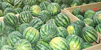 Москва: анализ цен freshmarket.ru (12.07. – 16.07.2010)