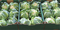 Польша: анализ цен freshmarket.ru (07.06 – 13.06.2010)