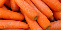 Польша: анализ цен freshmarket.ru (16.08. – 20.08.2010)