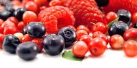 Польша: анализ цен freshmarket.ru (19.07. – 23.07.2010)