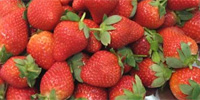 Польша: анализ цен freshmarket.ru (31.05. – 06.06.2010)