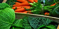 Польша: анализ цен freshmarket.ru (24.05. – 30.05.2010)
