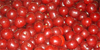 Польша: анализ цен freshmarket.ru (12.07 – 16.07.2010)