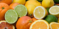 Poland: stable prices of citrus fruit