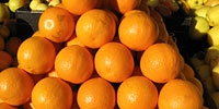 Prices of citrus fruit on the Polish market