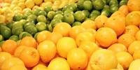 Prices of citruses and bananas