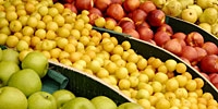 Export of Polish fruit