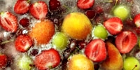 Good year for frozen fruit production