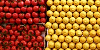 Import of fresh fruit and vegetables