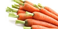 Poland: early carrot already dominates on the market