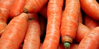 Poland: fluctuating prices of carrot