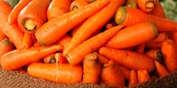 Still high demand for Polish carrot