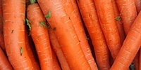Prices of carrot increased again