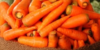 Poland: decrease in prices of carrot and beets