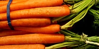 Poland: prices of early carrot