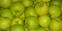 Mutsu – Japanese variety popular among Polish traders