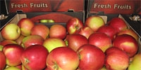 Price of dessert apples