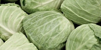 Poland: further increase in prices of white cabbage