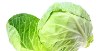 Poland: big demand for white cabbage