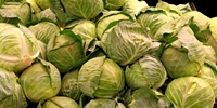 Price of white cabbage