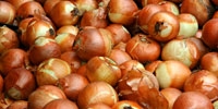 Poland: low supply of onion of good quality