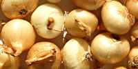 Poland: prices of onion