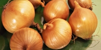 Poland: growing prices of onion