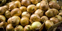 Poland: big demand for onion