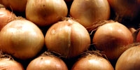 Poland: growing demand for onion