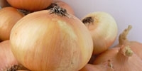 Poland: high prices of onion