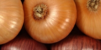 Poland: decline in prices of imported onion
