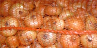 Polish onion already too expensive for Ukrainian importers?