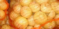 Prices of peeled onion slightly decreased