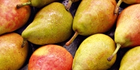 Pears for export