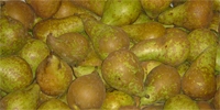 More pears this year