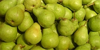 Prices of pears