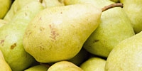 Poland: decreasing supply of pears