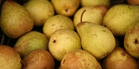 Poland: prices of pears for export