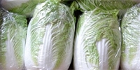 Poland: low demand for Chinese cabbage