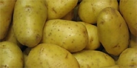 Poland: low supply of good quality potatoes