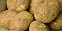 Growing demand for potatoes